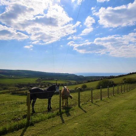 1 Bed In Boscastle Lpenc Villa Bagian luar foto